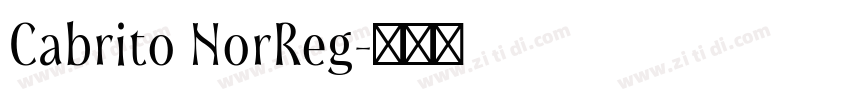 Cabrito NorReg字体转换